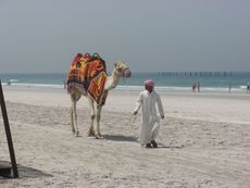 378 Kamelreiten für Kinder.JPG